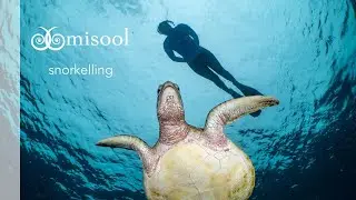 Misool: Snorkelling Adventures