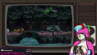 Highlight: I forgot... | DKC 3