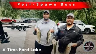 Post-Spawn Bass Fishing at Tims Ford Lake