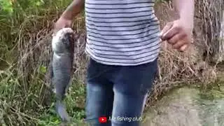 amazing! Catla Fishing||srsp flood water canal 🐟🎣
