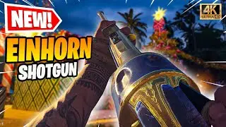 EINHORN SHOTGUN VANGUARD HARDCORE!! (BEST CLASS)