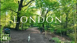 London Morning Walk to Highgate Wood 4K