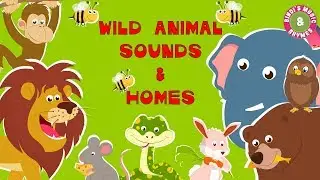 Wild Animal Sounds & Homes | Educational Rhymes | Nursery Rhymes for Children