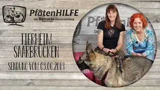 Pfotenhilfe - Die Barmenia Tiervermittlung 👉Tierheim Saarbrücken