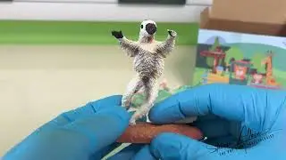 Reviewing the Toymany 12-Piece Madagascar Animal Playset