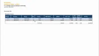 N pago proveed  saldos analitico