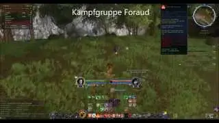 HDRO/Lotro  - Champion/Waffenmeister AoE Fun - Lvl 95