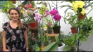 D Todo - Arte, palmas y macetas en Xochimilco (28/09/2017)