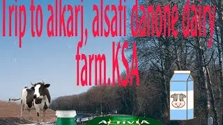 Trip to alkharj @alsafi danone dairy farm, riyad.ksa