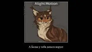 Вроді всі ролі підходять #idk #warriorcats #кв #котивояки #котывоители #яхз #ачописать 