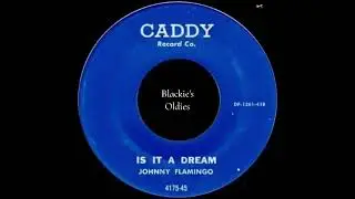 Is It A Dream 〰️ Johnny Flamingo Girl, I'll Always Love You〰️We Three LTD  Baby, Oh Baby〰️The Shells