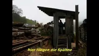 Holz, Die Sagerei