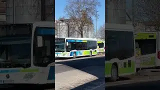 Mercedes-Benz Citaro C2G BHNS |Busse im Augsburger Verkehrsverbund |Egenberger Reisen Linie 700