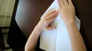 Shark Tooth Airplane