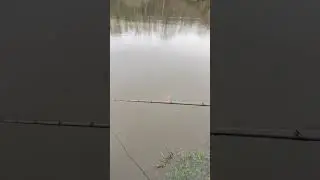 😅#fishing #pikeattack#pikefishing #pike #fishingvideo #fish #p&ecirc;che #france #fishattack