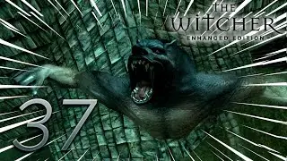 &iexcl;Un HOMBRE-LOBO! en  The Witcher 1 Enhanced Edition - La SERIE #Ep 37 (ESP)