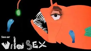 These Anglerfish Are Sexual Parasites That Die Without Their Lovers