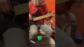 Henretta Engineering Green Zapper on bass