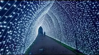 Edinburgh Botanics Christmas 2025