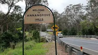 Termite Nest Control for Trees in Annangrove video - A1 Pest Control