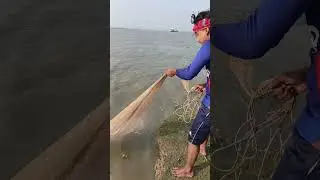 Amazing net Fishing Video #amazingfishing #nature1 #fishing #foryou #youtubeshorts #vrilshorts