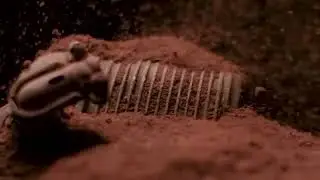 Destroy Lonely 