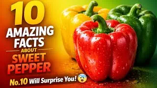 10 Amazing Facts About Sweet Peppers
