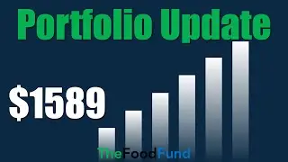 My Portfolio is CRASHING, Here&rsquo;s my NEXT Move! | $1589 Portfolio October 2025