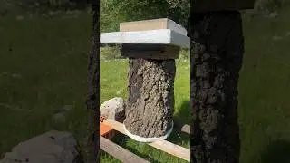 32 Celsius, DIY HONEYBEE HIVE 🐝 #honeybee #beekeeping #wildlife #naturevideo #shotoniphone #shorts