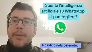 DIEGO FUSARO: Spunta l'intelligenza artificiale su WhatsApp: si pu&ograve; togliere? Quel che non vi dicono