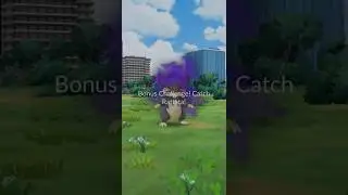 Pokemon GO | Rocket Dark Grunt Battle, Pokemon Rescue Shadow Alolan Rattata | 2024