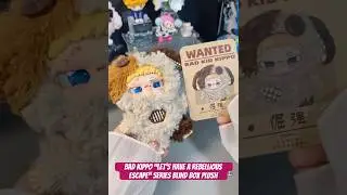 👉pokkii.com🦊Kippo &ldquo;Let&rsquo;s Have A Rebellious Escape&rdquo; Series Plush#blindbox #unboxing #kippo#plushtoy