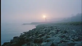 For Years, a Seal Returned to This Lighthouse, Until One Night It Didn&rsquo;t. #AnimalStory #QuietStories