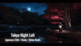 【Tokyo Night Lofi】 — Soft Midnight Sleep BGM | 1 Hour