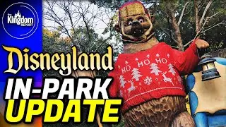 Disneyland Update: November Crowds, Fantasmic Work & More!