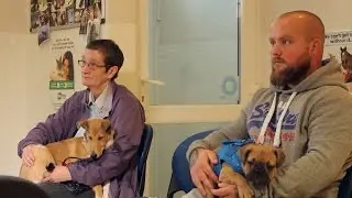 Why Flea Treatment Is Important - City Road Vets