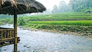 Heavy Rain in a Quiet Village ASMR | Fall Asleep Fast
