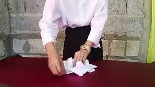 ✅ Table Napkin Folding Performance | For School Purposes Only