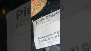 Pink Ztarburst OZ / LIT Farms #freetheplant #thcareview #hempflower
