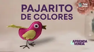 PAJARITO DE COLORES PAÑO LENCY en Aprenda y Venda - Teleamiga