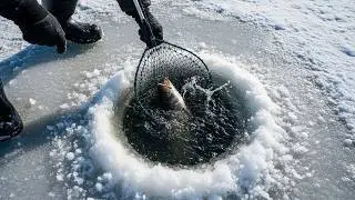 Ice Hole Fishing Gone Wild