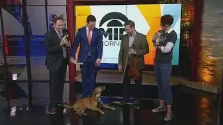 MN Orchestra & Opera Put On Concert To Help Homeless Dogs