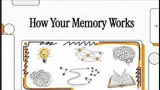 Memory: How Your Memory Works