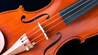 Gavil&aacute;n tocuyano: Pablo Canela