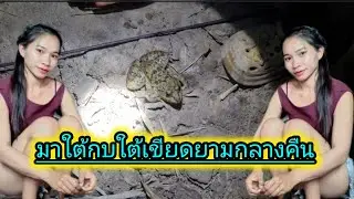 มา ใต้ กบ ใต้ เขียด ยาม กลาง คืน กลัวผีหลอก#ชนบทลาวใต้ #สาวลาวใต้ #ฝากติดตามด้วยนะคะ 