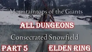 ALL DUNGEONS ELDEN RING - PART 5 MOUNTAINTOPS & SNOWFIELD - LOCATION, RUN-THROUGH & REWARDS GUIDE