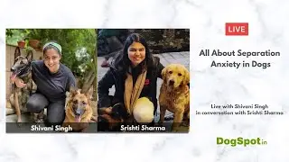 All About Separation Anxiety in Dogs with Shivani Singh
