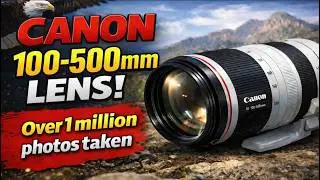 Canon 100-500mm Lens: 6 Years & 1 Million Photos Later!