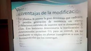 #201101Biologia _ma&iacute;z transg&eacute;nico: Ma&iacute;z Bt (Bacillus thuringiensis)__