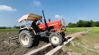 2wd Swaraj Tractor Working In Kaltivator | Swaraj 855 FE Tractor Videos | Rafiktractorwala 